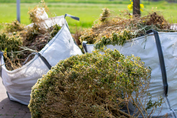 Best Full-Service Junk Removal  in Stevensville, MI